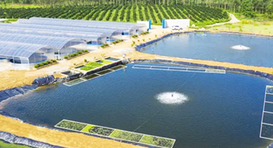 水产膨化料专业指导及优良饲料，让您省钱省事。